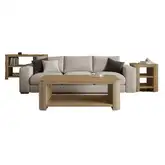 Janzen 3 Piece Coffee Table Set in Cascade Oak Brown Wood